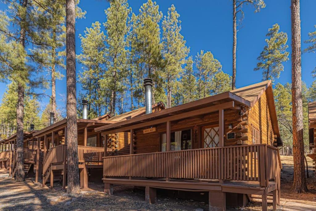 Forest Cabin 2 Birds Nest Payson Esterno foto