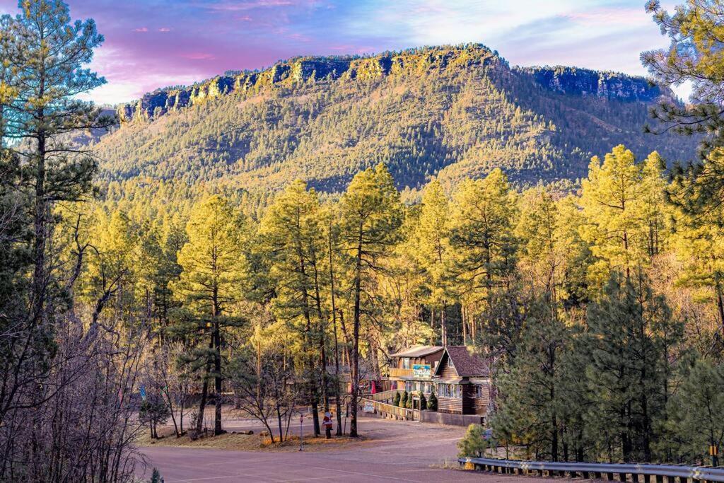 Forest Cabin 2 Birds Nest Payson Esterno foto