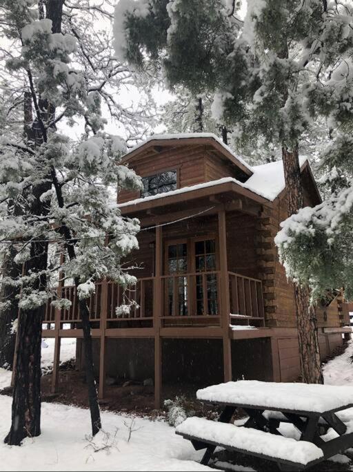 Forest Cabin 2 Birds Nest Payson Esterno foto