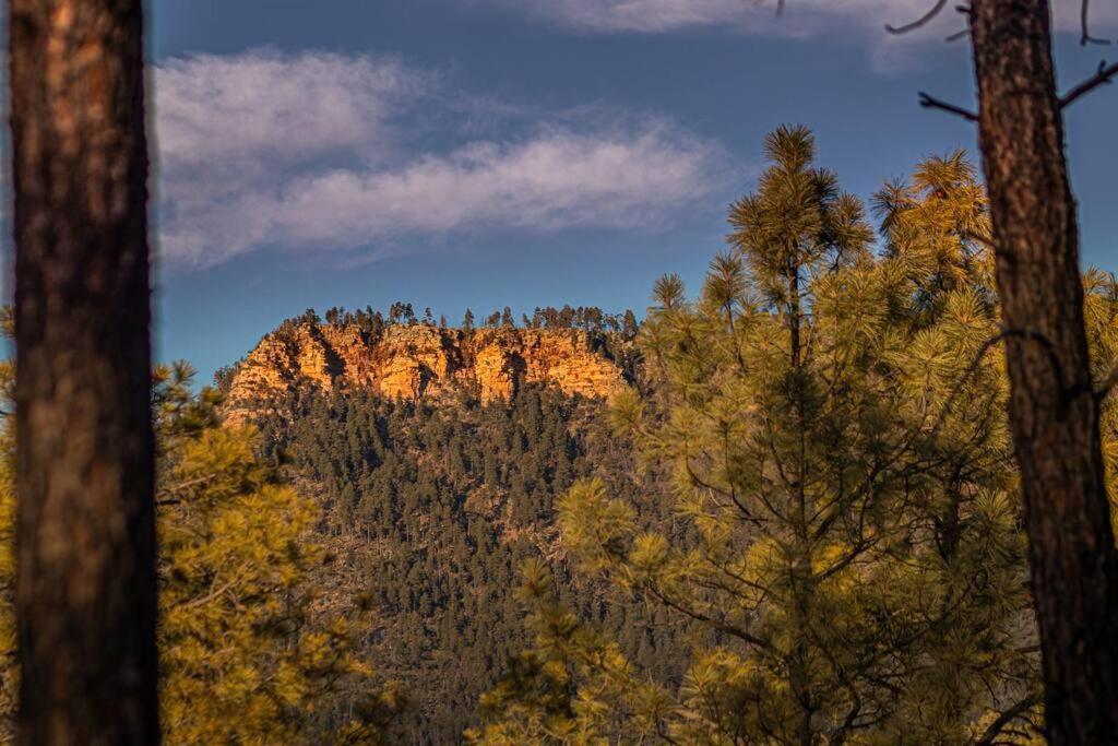 Forest Cabin 2 Birds Nest Payson Esterno foto