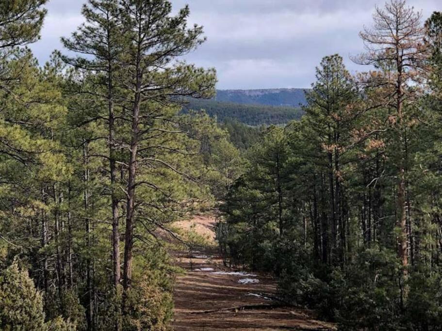 Forest Cabin 2 Birds Nest Payson Esterno foto